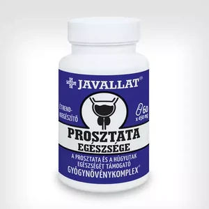 Húgyúti rendszer Húgyúti rendszer