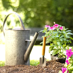 Kültér, kert, medence